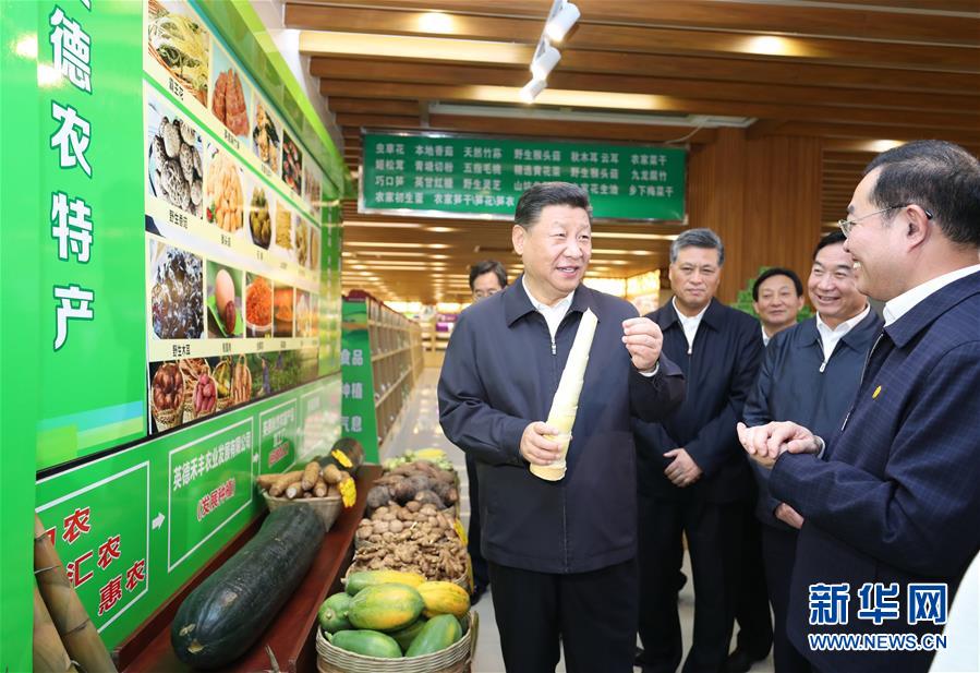 (XHDW)(2)习近平在广东清远调研